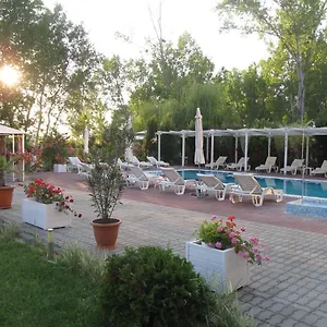 book here